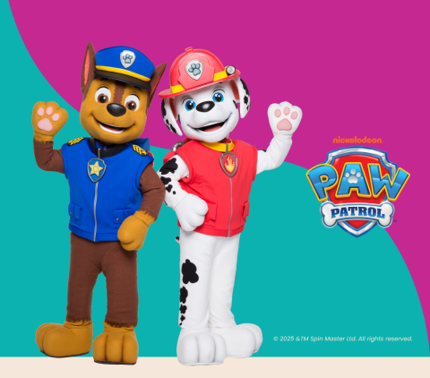 TOW PAW Patrol