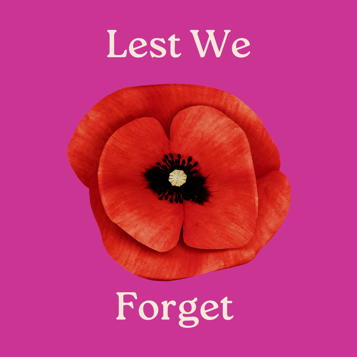 Lest We Forget